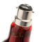 2Pcs B22 Reptile Heat Basking Lamp UVA Heater Glass Heat Emitter 220V 60W