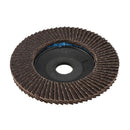 20 Piece Set 100mm / 4Inch Flap Disc Sanding Sanding Disc 80 Grit Wood Meta