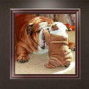 DIY 5D Diamond Painting Dog Cross Stitch Embroidery Home Decor Craft