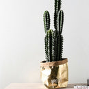 Washable Kraft Paper Storage Bag Nordic Unbreakable Plants Grow Paper Sundr