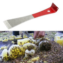 Stainless Steel Hive Scraper Beekeeping J Shape Curved Tail Bee Hive Hook