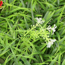 60x40cm Artificial Meadow Artificial Turf Wall Panel for Wedding or Home De Y3D7