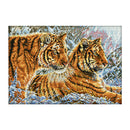 Stamped Cross Stitch Kits Pre-Printed Cross-Stitching Starter Kit for Beginners