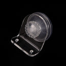 aquarium dock reptile turtle pier basking small terrace island platform BSES