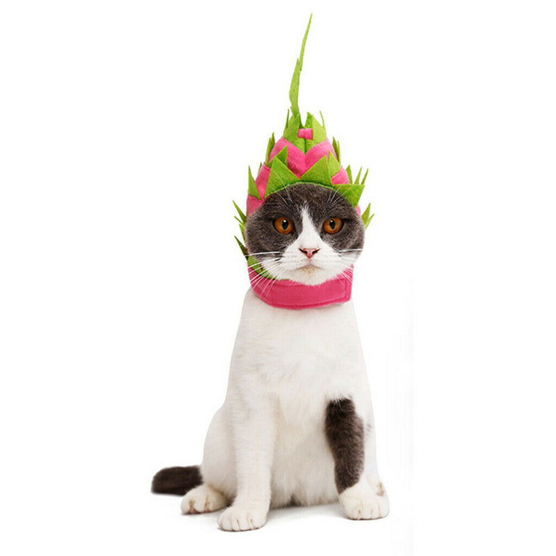 Cute Dragon Fruit Shape Dog Hat Costume Hat for Halloween Birthday Decor L
