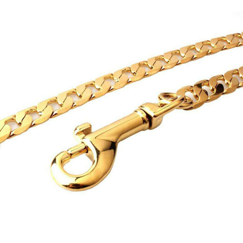 Durable Stainless Steel Dog Cat Dog Chain Leash for Dog Outdoor Training