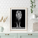 Animal Full Drill Diamond Painting 5D Mosaic Bead Art Picture (E38 Lion)