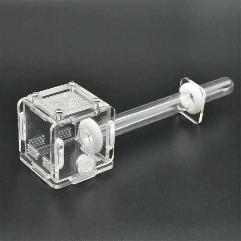 Mini Glass Tube Nest Housing Ant Farm Formicarium With Feeding For Ant Colony