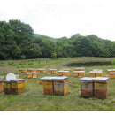 10oz/280g 100% Organic Natural Pure Yellow Beeswax Pellet Honey Cosmetic Grade