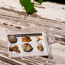 Rock and Mineral Collection in Specimens (6 Pieces)