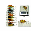 Mini Wobbler Perch Trout Pike the Tackle 4-8.3 g / 0.14-0.29oz U5C2
