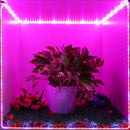 Grow Light Strip Small Plant Area Greenhouse Home Plant Flower Tape Light