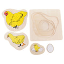 Montessori Materials The Evolution Process Of Hens For Kids Early Education