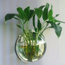 1Pc High Glass Hanging Flower Planter Vase Terrarium Container Home Garden
