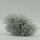 100 Pcs Clean Brushes For Drinking Straws/Glasses/Keyboards/Jewelry Cleanin