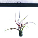 Flower Stand Mini Hanging Air Plant Pot Stand Container Holder Balcony Decor Hn