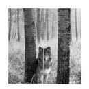 2 Panels Silky Polyester Window Curtain Darkening Thermal Bath Drape - Gray Wolf