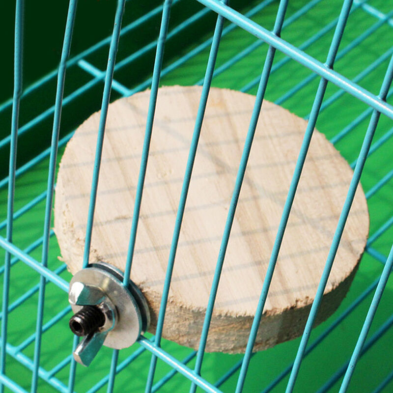 Parrot Pet Bird Round Platform Toys Wooden Hanging Stand Perch Cockatiel Fun