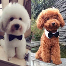 Fashion Adjustable Adorable Cotton Dogs Cat Pet Tie Necktie Collar Bowties