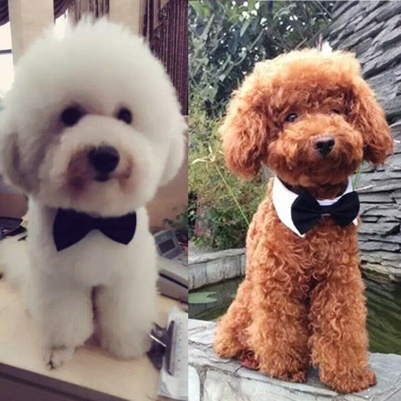 Fashion Adjustable Adorable Cotton Dogs Cat Pet Tie Necktie Collar Bowties