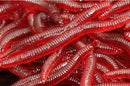 100 x Soft Red Earthworm Fishing Bait Worm Lures Crankbaits Hooks Baits Tackle
