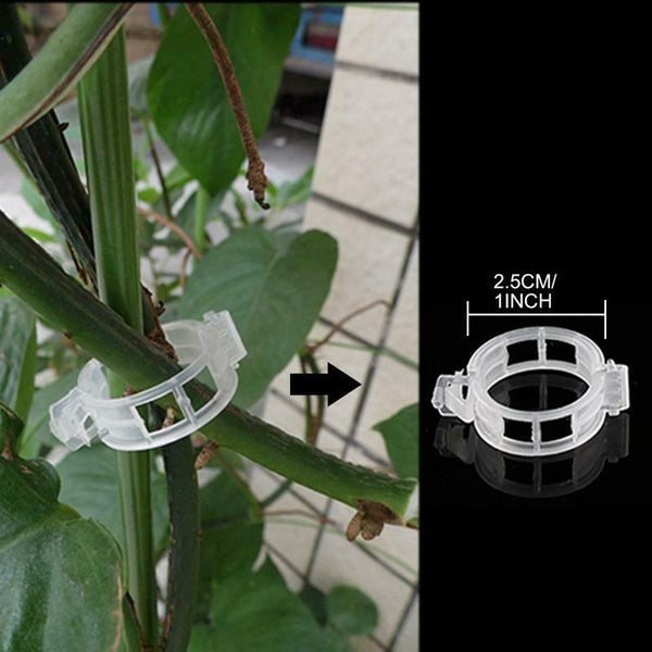 150 Pcs Plant Support Garden Clips,Tomato Vine Clips,Tomato Trellis Clips f