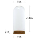 Glass Cloche Dome Bell Jar Display Stand Dome Cover Terrarium Bottle 8x18cm