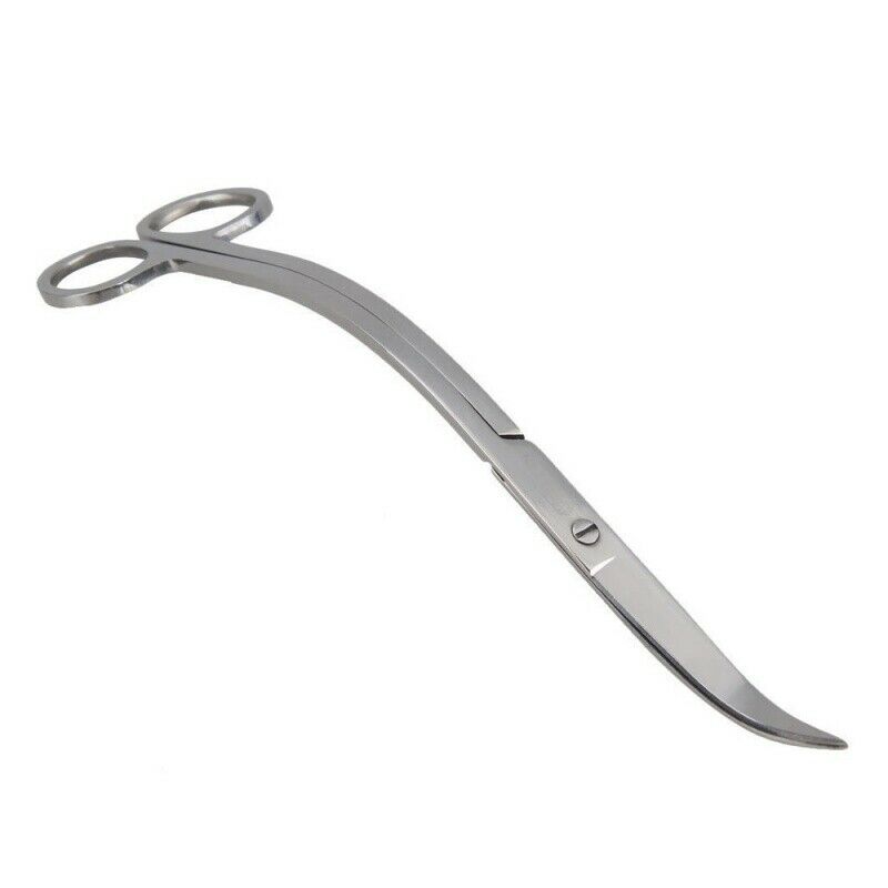 Water purification plant scissors in steel aquarium