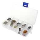 10Pcs Fossils Collection Kit w/ Display Box for Kids Early Biology Learning