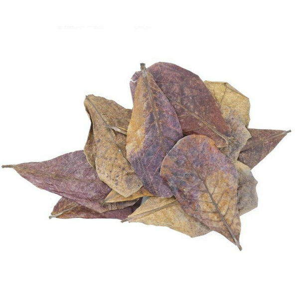 10pcs Natural Almond Leaves Shrimp Fish Aquarium Care Make Water Decor Supply