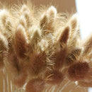 Dried Flowers Bouquet Rabbit Tail Grass Real Flower Weddings Home Decors New 60pcs