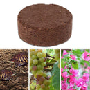 Reptile Coconut Fiber Substrate Bricks Natural Beddings New soil Nutrient I0C2
