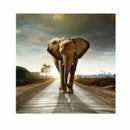 30cm HD Canva Print Wall Art Painting Decor Adorned Picture-Elephant Noframe
