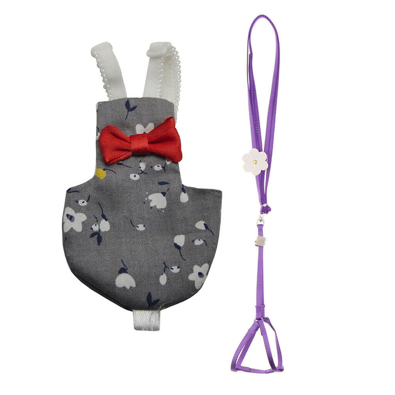 Harness Leash with Adjustable and Bite Resistant Design + Cockatiel Parrot Bird