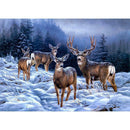 5D DIY Full Drill Diamond Painting Cute Animals Cross Stitch Craft Kit (19)