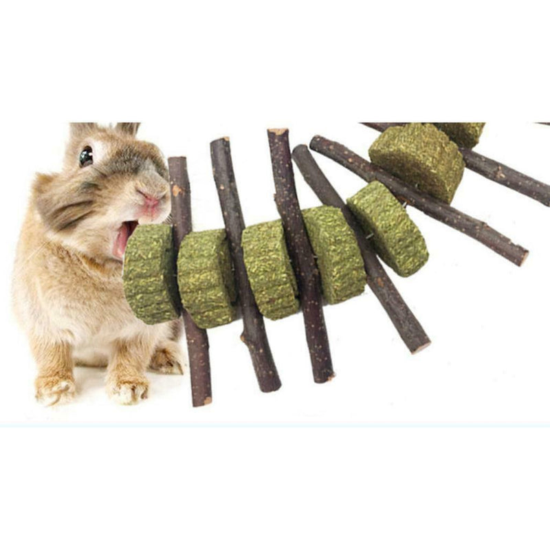 Bunny Chew Toys for Teeth, Organic  Wood Molar Sticks
