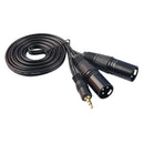 5 Feet 3.5mm (Mini) Male to Dual XLR Male Microphone Cable, Stereo Audio