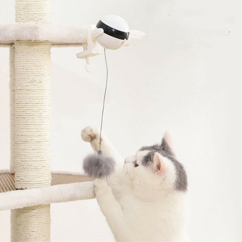 Electric Automatic Lifting Ball Cat Teaser Pet Puzzle Interactive Toys
