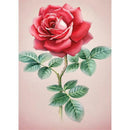 5D DIY Full Drill Diamond Painting Cross Stitch Embroidery Kit (Flower01)