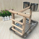 Bird Perch, Parrot Training Stand, Play Gym Tabletop with 2 Feeder Cup