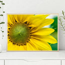 1000pcs DIY Yellow Sunflower Puzzle Educational Learning Assembling Toys A