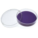 Plastic Petri Dish Sterile Dishes with Lid, 100 mm and 60 mm, 20 Pcs
