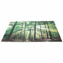 5x3ft Photography Backdrop Vinyl Autumn Sunrise Scenery Forest Decor