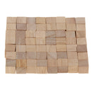 1/2 Inch Wooden Cubes, 100pcs Unfinished Square Wood Blocks for Kids Math