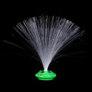 color changing led fiber optic night light lamp small light party home decor  Z