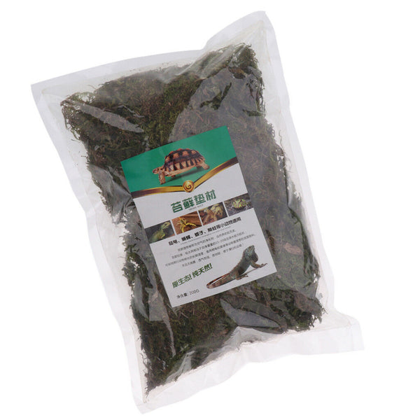 Reptile Supplies Natural Green Moss Controls Tropical and Wetland Humidity