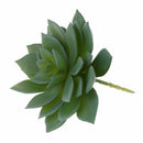 Echeveria Lotus Artificial Plants Artificial Succulents House / Office / Ga A9P6