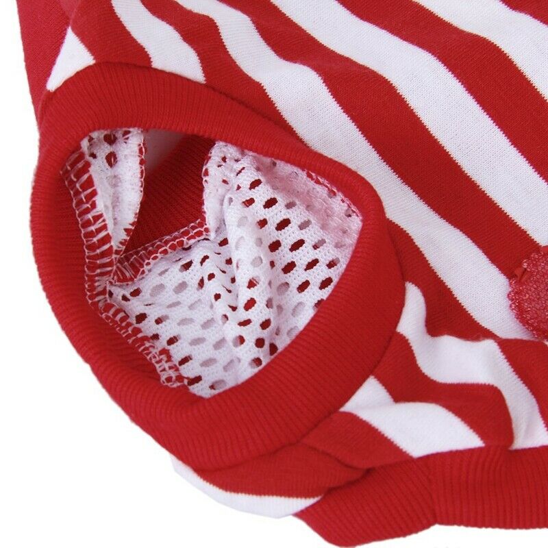 Female Pet Dog Hygienic Sanitary Diaper Pant Brief for Small Dog L9V1