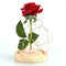 Eternal Rose Flower Red Silk Rose and LED Light with Fallen Petals in Glass L4E8