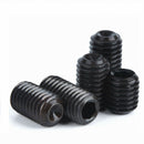 45Pcs M2 Cup Point Allen Socket Set Grub Screws Kit- 12.9 TEN-HIGH | L2~14mm